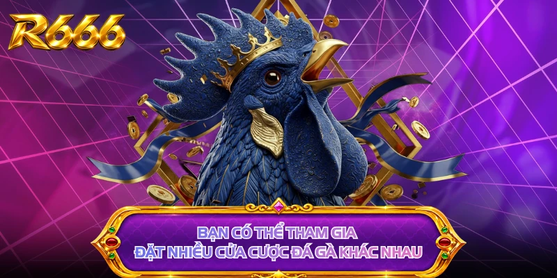 Bạn có thể tham gia đặt nhiều cửa cược đá gà khác nhau
