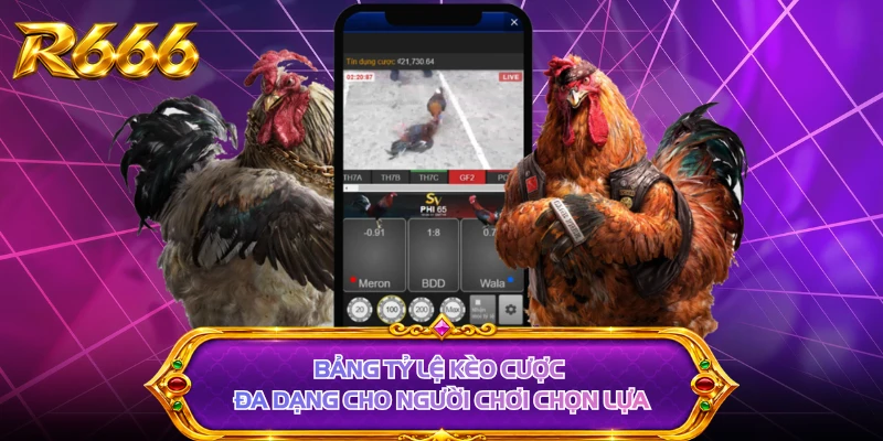 Bảng tỷ lệ kèo cược đa dạng cho người chơi chọn lựa