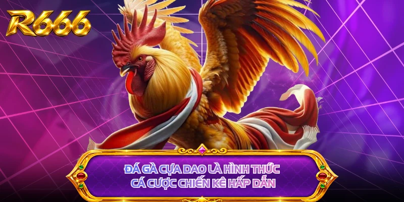 Đá gà cựa dao là hình thức cá cược chiến kê hấp dẫn