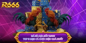 Đá Gà Cựa Sắt R666 - Top 3 Mẹo Cá Cược Hiệu Quả Nhất