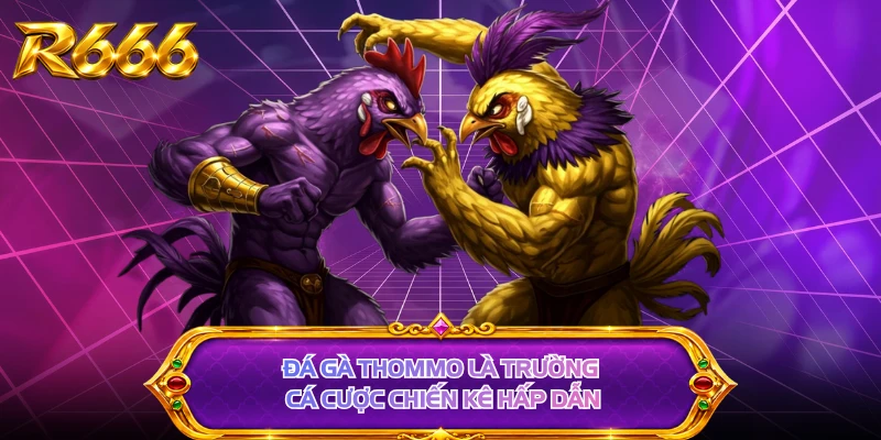 Đá gà Thommo là trường cá cược chiến kê hấp dẫn