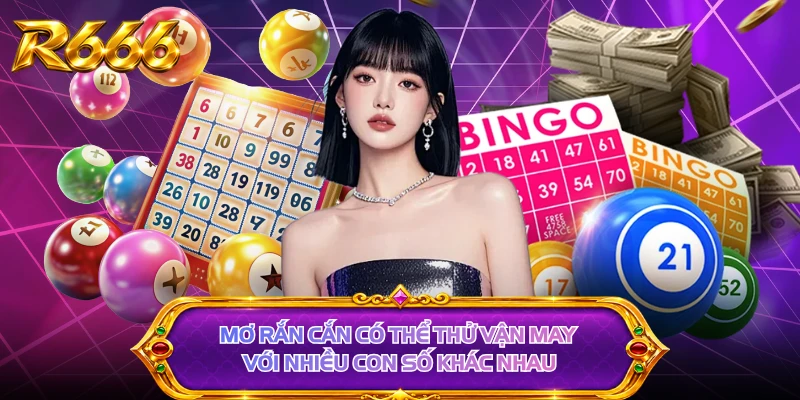 Mơ rắn cắn có thể thử vận may với nhiều con số khác nhau